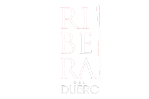 D.O. Ribera de Duero & WALKING ON THE WINE SIDE®